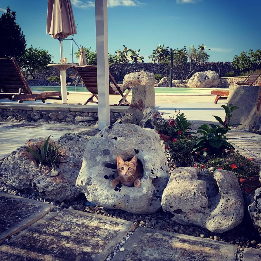 Agriturismo Masseria Saittole Carpignano Salentino Ngoại thất bức ảnh