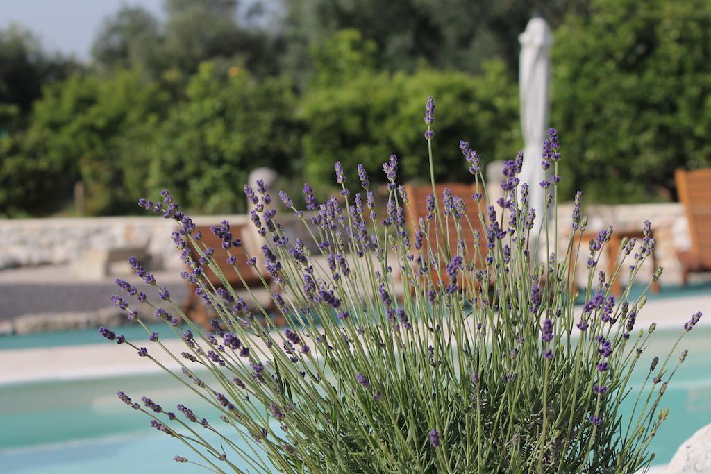 Agriturismo Masseria Saittole Carpignano Salentino Ngoại thất bức ảnh